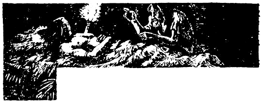 Иллюстрация к книге — Кораблекрушения [i_019.jpg]