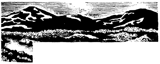 Иллюстрация к книге — Кораблекрушения [i_032.jpg]