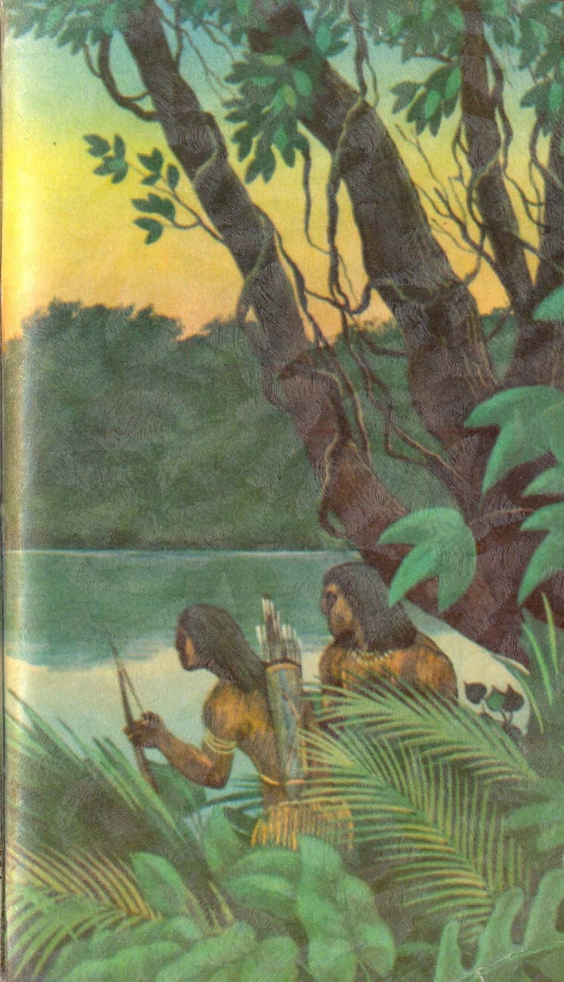 Иллюстрация к книге — Кораблекрушения [i_043.jpg]