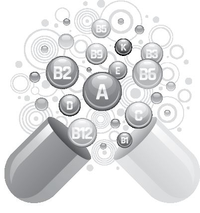 Иллюстрация к книге — Челюсти. Научное исследование о взаимосвязи между зубами, мозгом и кишечником + 40-дневный план питания, который поможет вернуть в норму здоровье ротовой полости и сформировать иммунитет к кариесу [i_016.jpg]