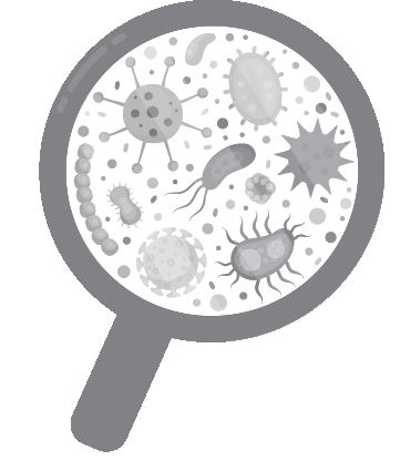 Иллюстрация к книге — Челюсти. Научное исследование о взаимосвязи между зубами, мозгом и кишечником + 40-дневный план питания, который поможет вернуть в норму здоровье ротовой полости и сформировать иммунитет к кариесу [i_022.jpg]