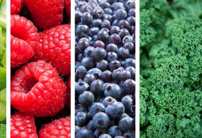 Иллюстрация к книге — Секрет щитовидки. Что скрывается за таинственными симптомами и болезнями щитовидной железы и как вернуть ей здоровье [i_029.jpg]