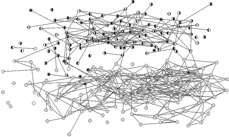 Иллюстрация к книге — Человеческие сети. Как социальное положение влияет на наши возможности, взгляды и поведение [i_003.jpg]