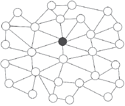 Иллюстрация к книге — Человеческие сети. Как социальное положение влияет на наши возможности, взгляды и поведение [i_076.jpg]