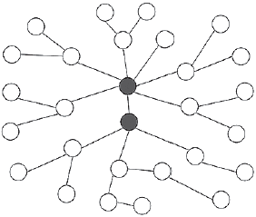 Иллюстрация к книге — Человеческие сети. Как социальное положение влияет на наши возможности, взгляды и поведение [i_079.jpg]