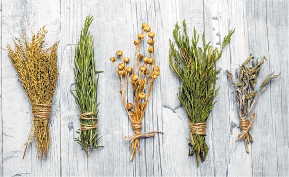 Иллюстрация к книге — Практическая хоумтерапия: как сделать дом своим [i_030.jpg]