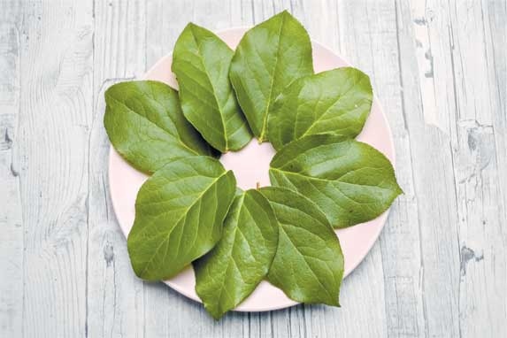 Иллюстрация к книге — Практическая хоумтерапия: как сделать дом своим [i_035.jpg]