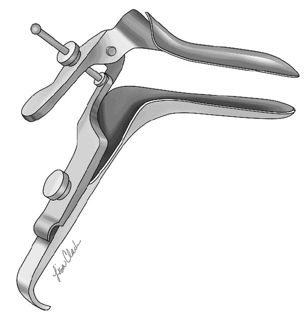 Иллюстрация к книге — The VAGINA BOOK. Главная книга для тех, у кого есть этот орган [i_007.jpg]