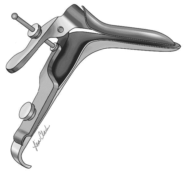 Иллюстрация к книге — The VAGINA BOOK. Главная книга для тех, у кого есть этот орган [i_008.jpg]