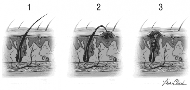 Иллюстрация к книге — The VAGINA BOOK. Главная книга для тех, у кого есть этот орган [i_010.jpg]