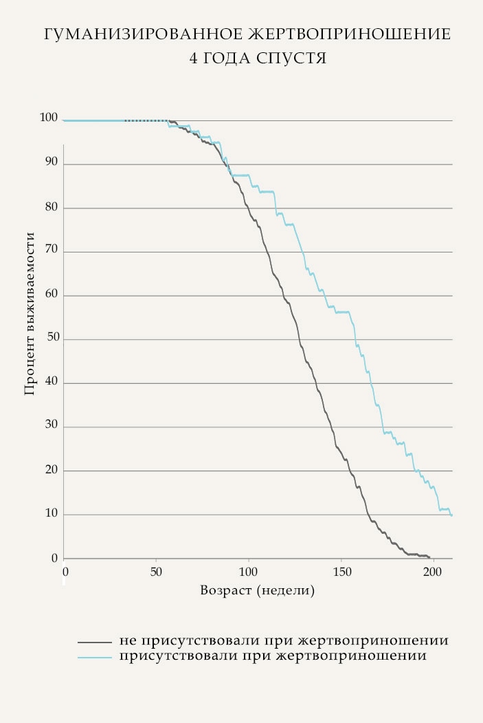 Иллюстрация к книге — Гарвардский Некромант [i_005.jpg]