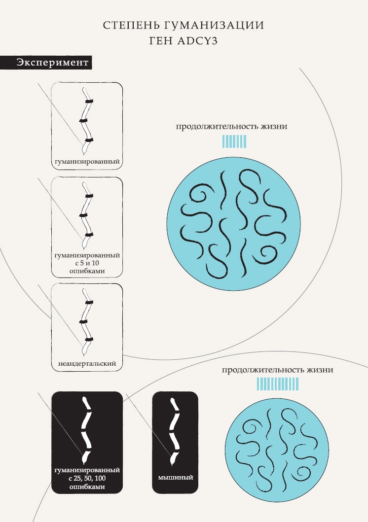 Иллюстрация к книге — Гарвардский Некромант [i_011.jpg]