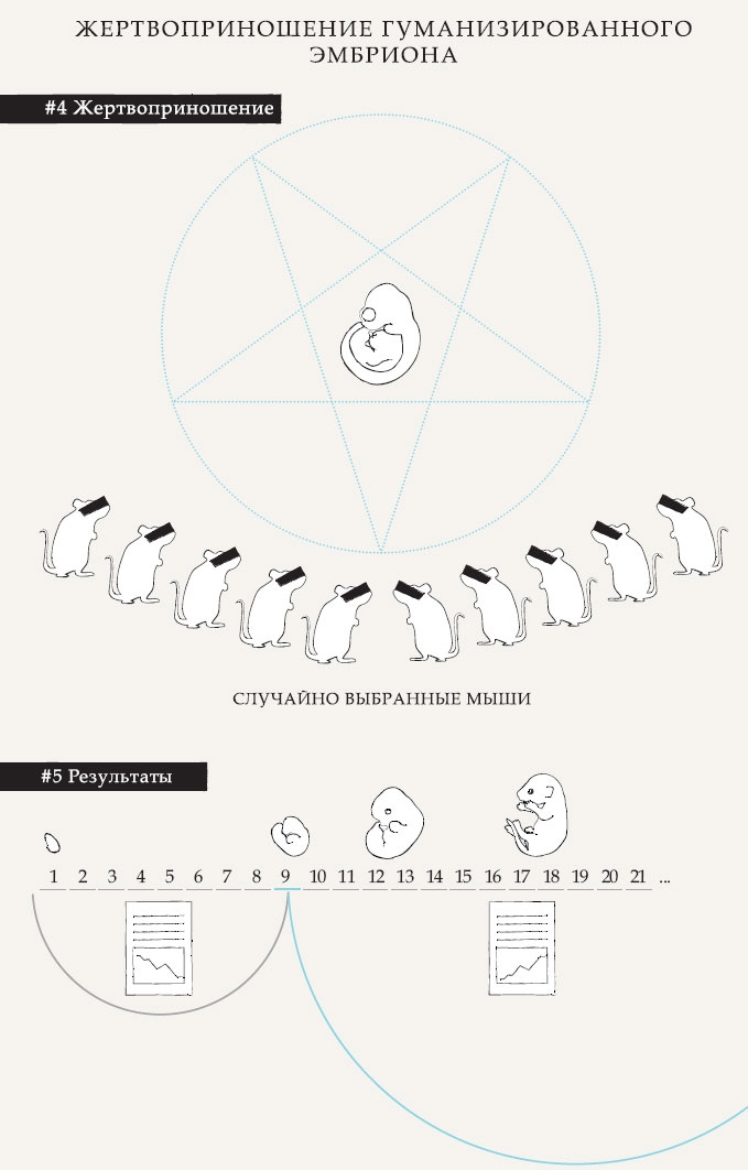 Иллюстрация к книге — Гарвардский Некромант [i_015.jpg]