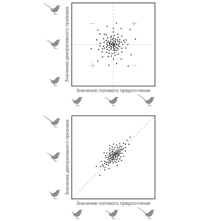Иллюстрация к книге — Эволюция красоты. Как дарвиновская теория полового отбора объясняет животный мир – и нас самих [i_004.jpg]