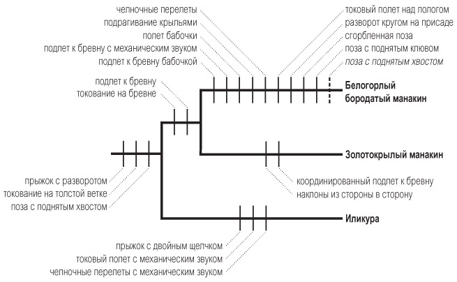Иллюстрация к книге — Эволюция красоты. Как дарвиновская теория полового отбора объясняет животный мир – и нас самих [i_026.jpg]