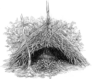 Иллюстрация к книге — Эволюция красоты. Как дарвиновская теория полового отбора объясняет животный мир – и нас самих [i_048.jpg]