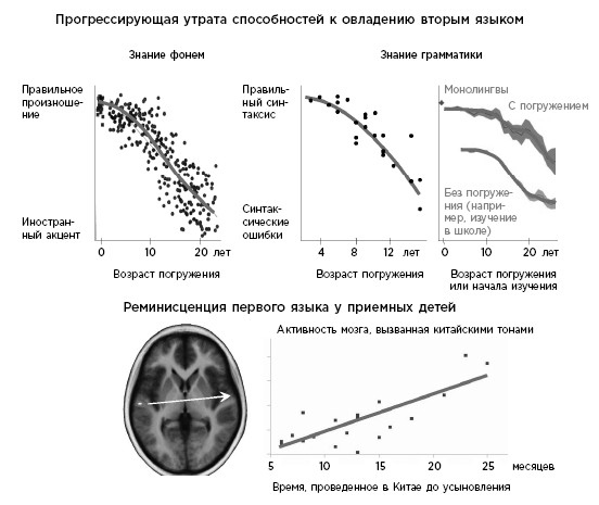 Иллюстрация к книге — Как мы учимся. Почему мозг учится лучше, чем любая машина… пока [i_007.jpg]