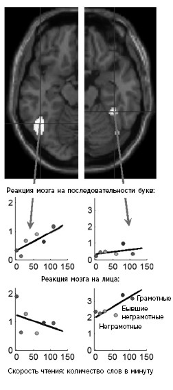 Иллюстрация к книге — Как мы учимся. Почему мозг учится лучше, чем любая машина… пока [i_010.jpg]