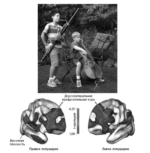 Иллюстрация к книге — Как мы учимся. Почему мозг учится лучше, чем любая машина… пока [i_017.jpg]