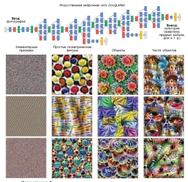 Иллюстрация к книге — Как мы учимся. Почему мозг учится лучше, чем любая машина… пока [i_023.jpg]