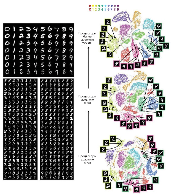Иллюстрация к книге — Как мы учимся. Почему мозг учится лучше, чем любая машина… пока [i_024.jpg]