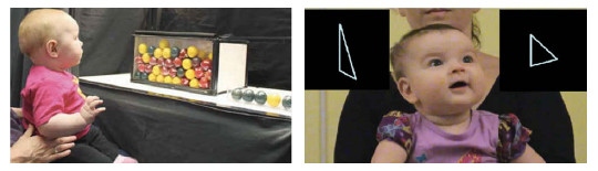 Иллюстрация к книге — Как мы учимся. Почему мозг учится лучше, чем любая машина… пока [i_026.jpg]