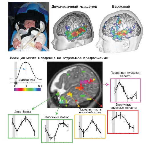 Иллюстрация к книге — Как мы учимся. Почему мозг учится лучше, чем любая машина… пока [i_027.jpg]