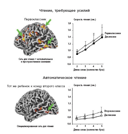 Иллюстрация к книге — Как мы учимся. Почему мозг учится лучше, чем любая машина… пока [i_039.jpg]