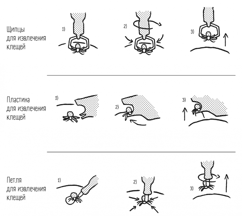 Иллюстрация к книге — Чем запить таблетку? Фармацевт о том, почему нельзя делить таблетки на части, хранить их на кухне и запивать всем подряд [i_059.jpg]