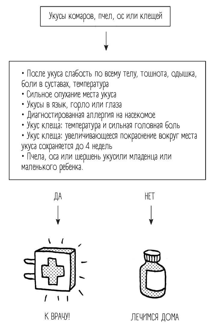Иллюстрация к книге — Чем запить таблетку? Фармацевт о том, почему нельзя делить таблетки на части, хранить их на кухне и запивать всем подряд [i_061.jpg]