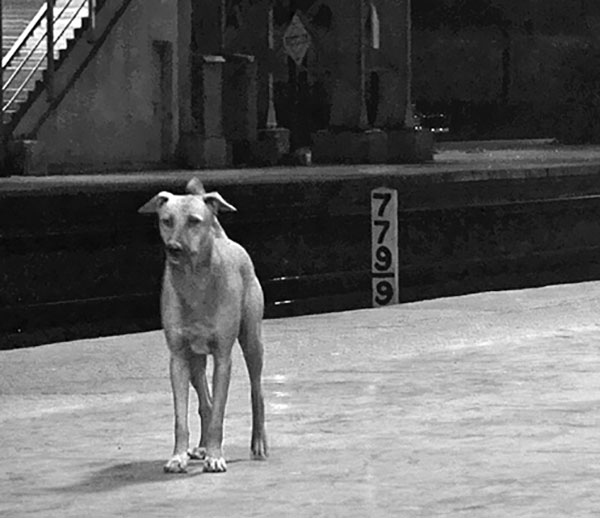 Иллюстрация к книге — Материнство [i_016.jpg]