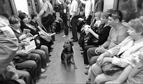 Иллюстрация к книге — Материнство [i_017.jpg]