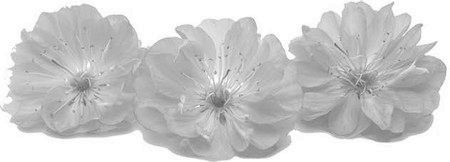 Иллюстрация к книге — Бездушный [i_002.jpg]