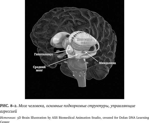 Иллюстрация к книге — Лучшее в нас. Почему насилия в мире стало меньше [i_104.jpg]