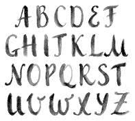 Иллюстрация к книге — Манускрипт Войнича [i_014.jpg]