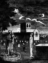 Иллюстрация к книге — Манускрипт Войнича [i_020.jpg]