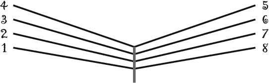 Иллюстрация к книге — Манускрипт Войнича [i_027.jpg]