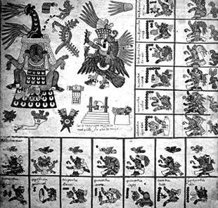 Иллюстрация к книге — Манускрипт Войнича [i_044.jpg]