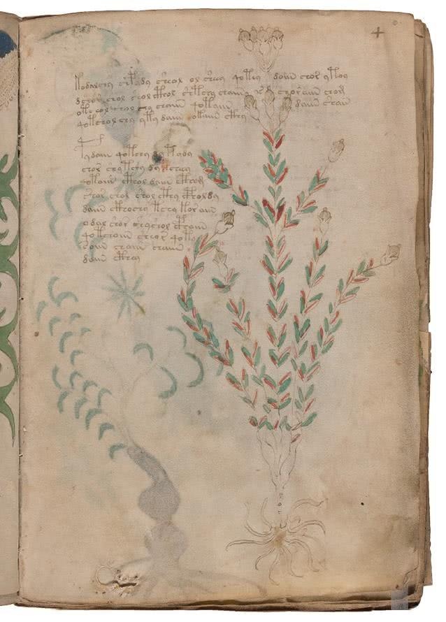 Иллюстрация к книге — Манускрипт Войнича [i_052.jpg]