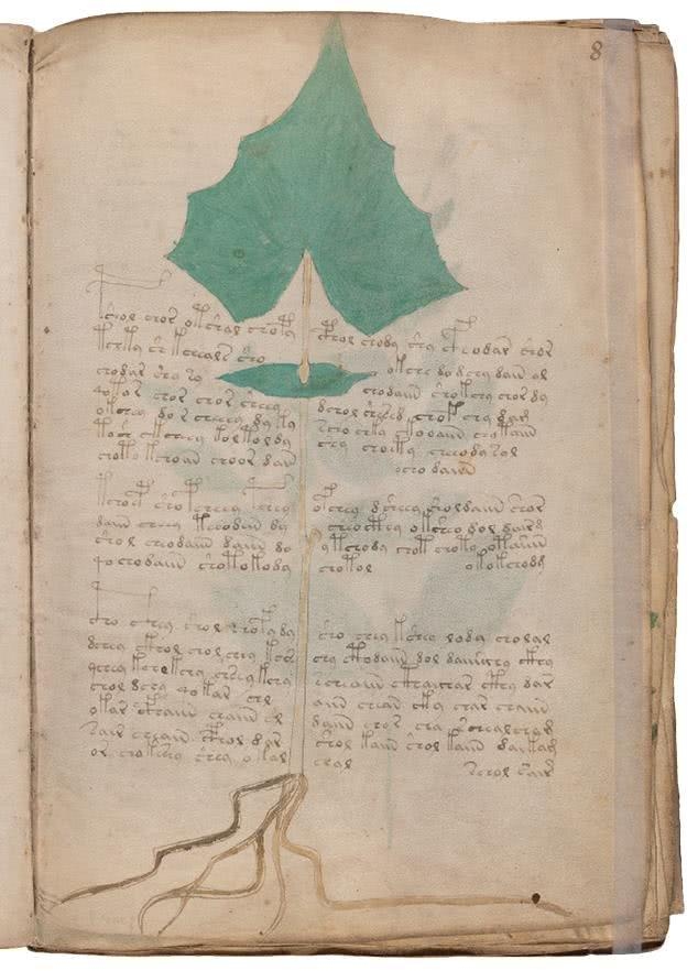 Иллюстрация к книге — Манускрипт Войнича [i_060.jpg]