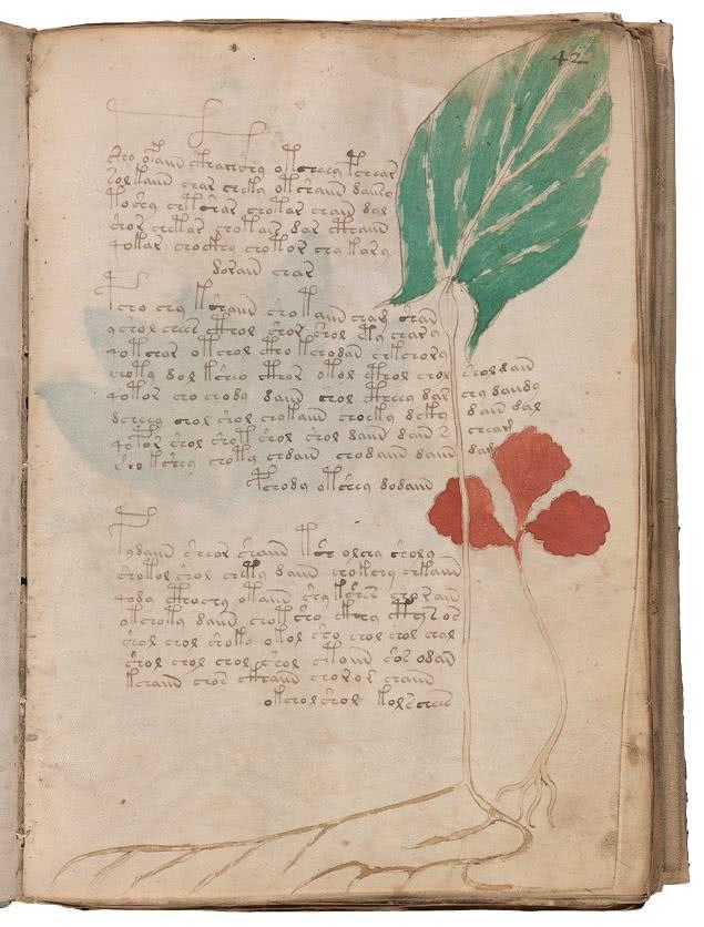 Иллюстрация к книге — Манускрипт Войнича [i_112.jpg]