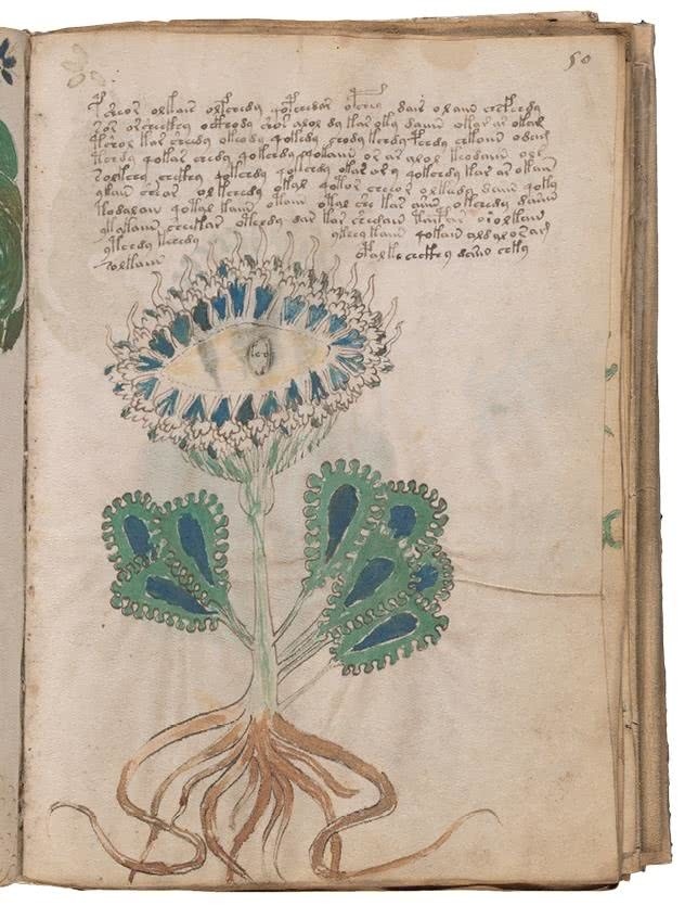 Иллюстрация к книге — Манускрипт Войнича [i_126.jpg]