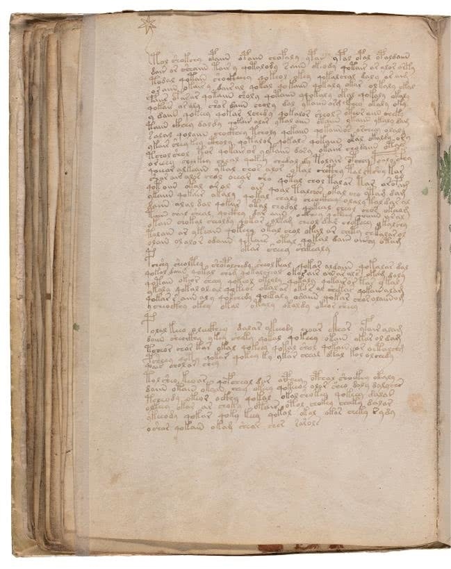 Иллюстрация к книге — Манускрипт Войнича [i_137.jpg]