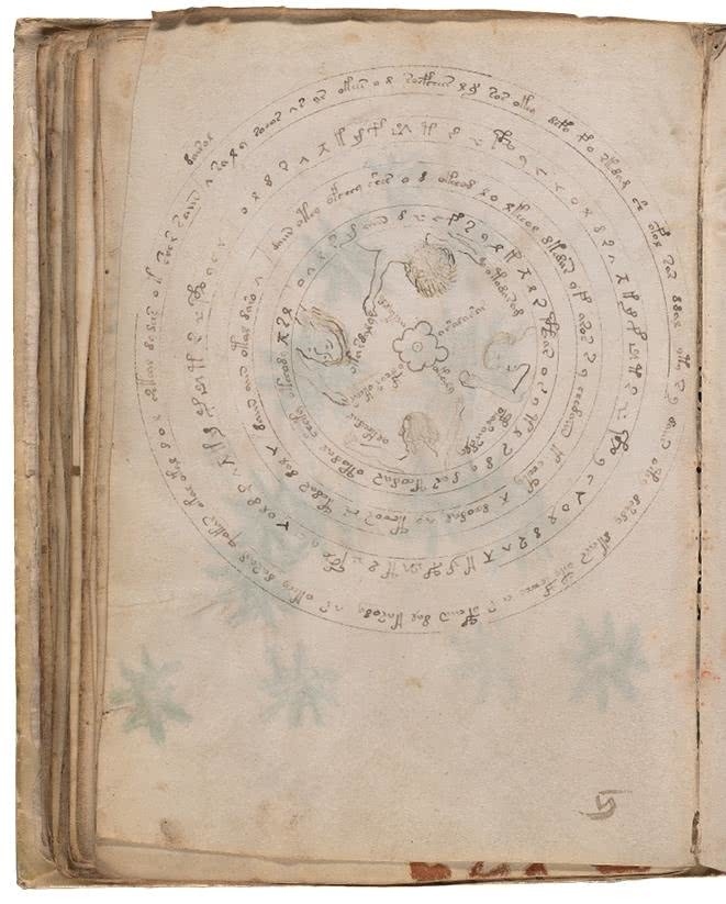 Иллюстрация к книге — Манускрипт Войнича [i_139.jpg]