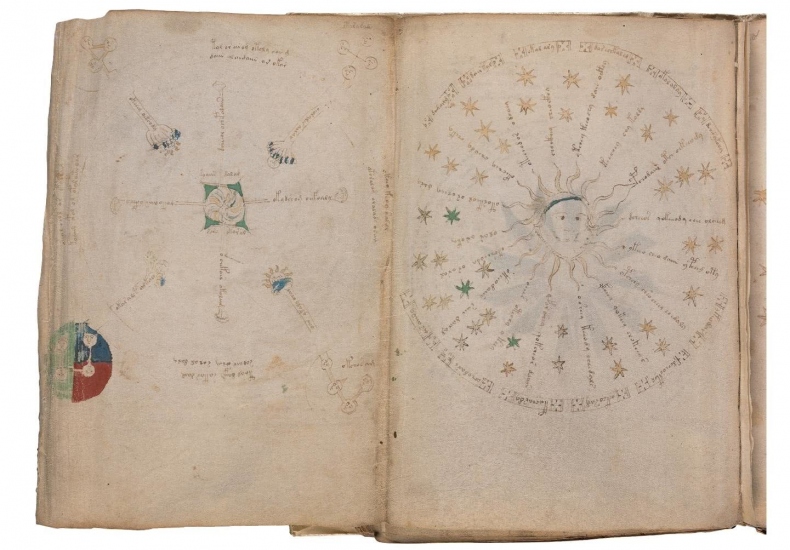 Иллюстрация к книге — Манускрипт Войнича [i_142.jpg]