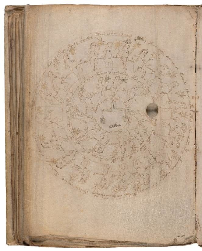 Иллюстрация к книге — Манускрипт Войнича [i_151.jpg]