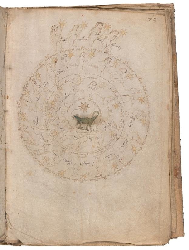 Иллюстрация к книге — Манускрипт Войнича [i_152.jpg]