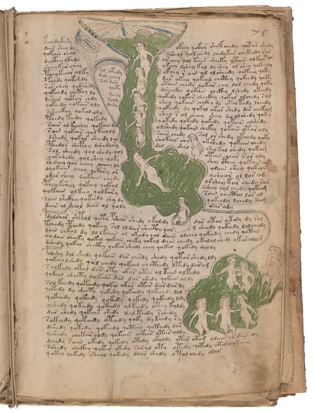 Иллюстрация к книге — Манускрипт Войнича [i_154.jpg]