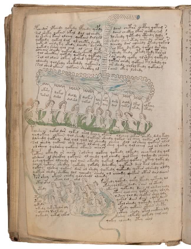 Иллюстрация к книге — Манускрипт Войнича [i_155.jpg]