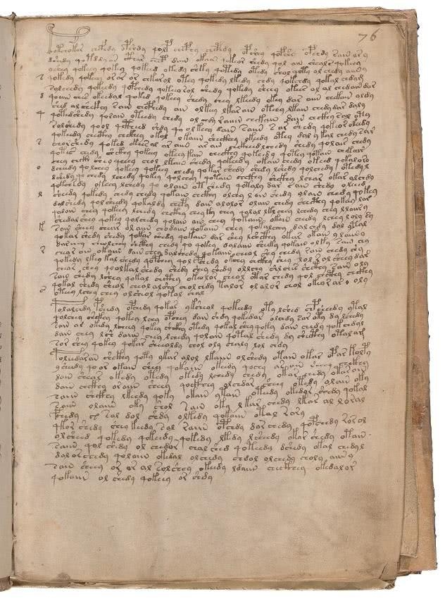 Иллюстрация к книге — Манускрипт Войнича [i_156.jpg]